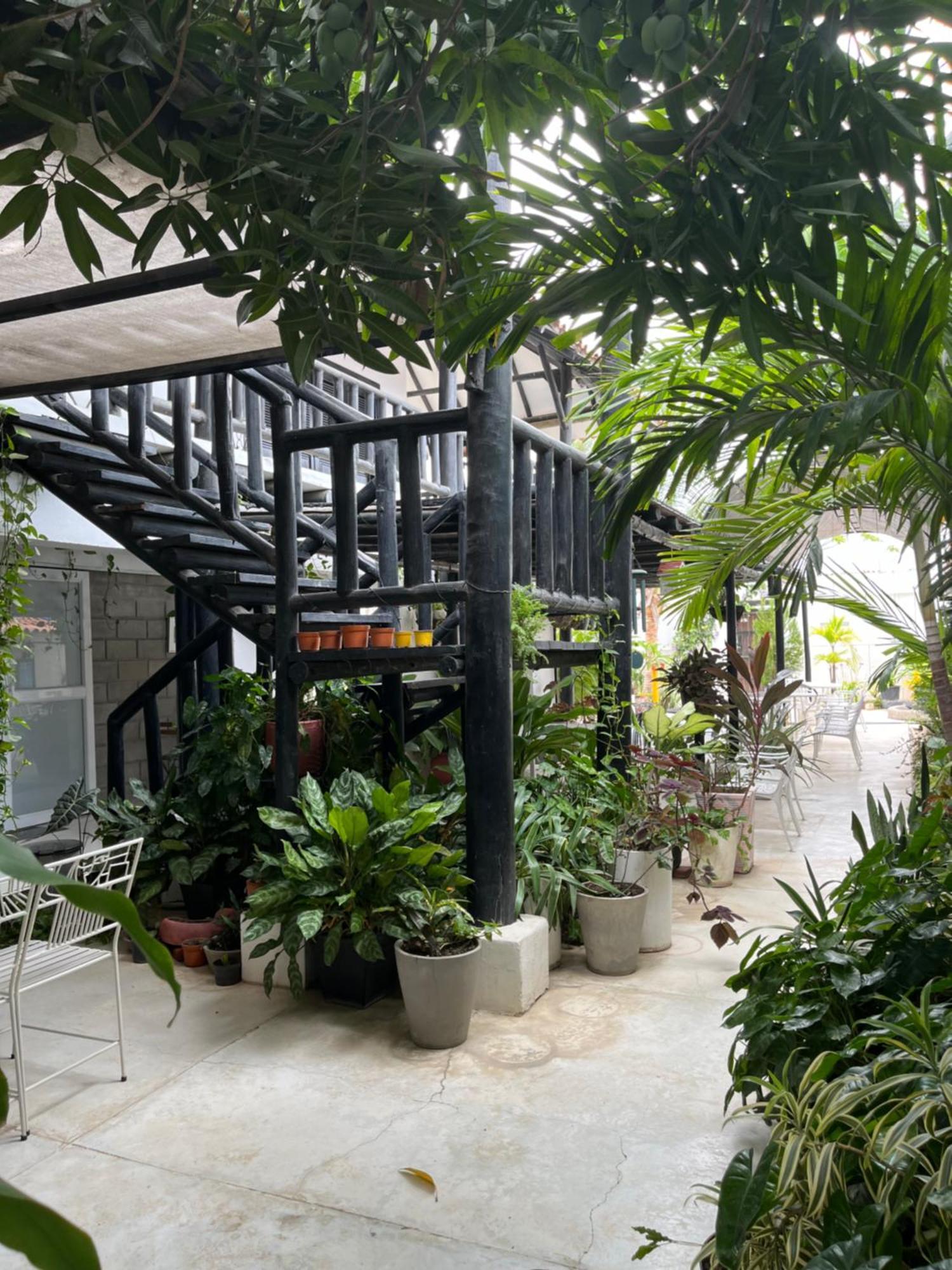 Casa Ines Hotel Santa Marta  Exterior foto